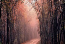 天涯社区神贴，那些在网络上疯传的神奇故事！